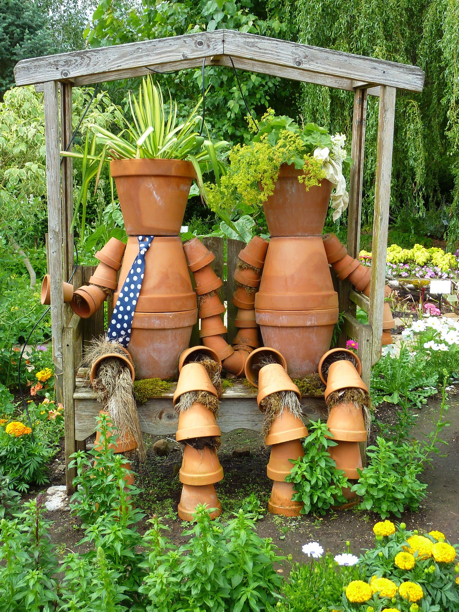 Pots & Planters