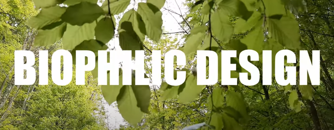 Load video: Bringing nature into your home with biophilic design