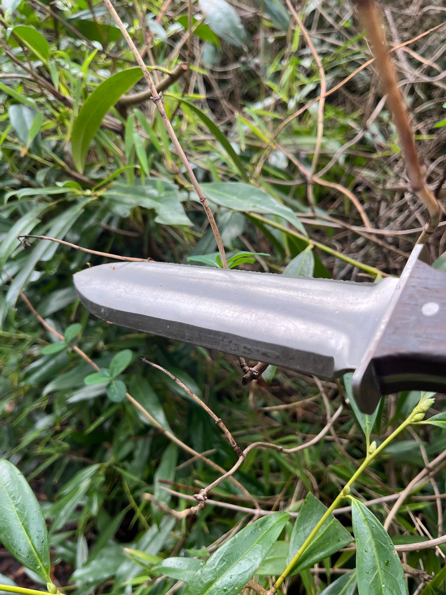 Hori-Hori Multi-functional Gardening Tool for Planting, Pruning and Cutting