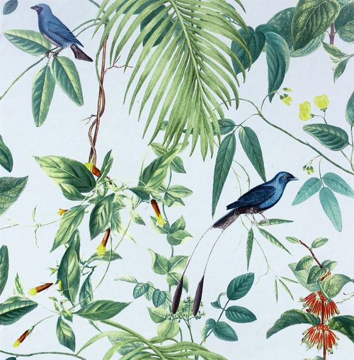 Wallpaper, Exotic Garden Blue sw12