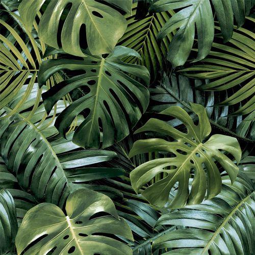 Wallpaper, Living Wall Green sw12
