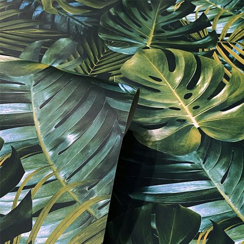 Wallpaper, Living Wall Green sw12